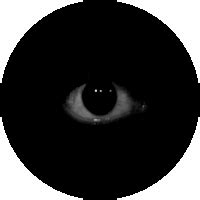 blackeye f95|GitHub .
